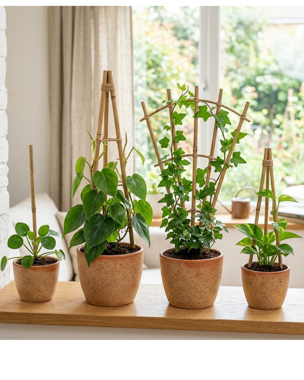 Oravox Bamboo Plant Trellis Stakes 18 in 6-Pack Natural