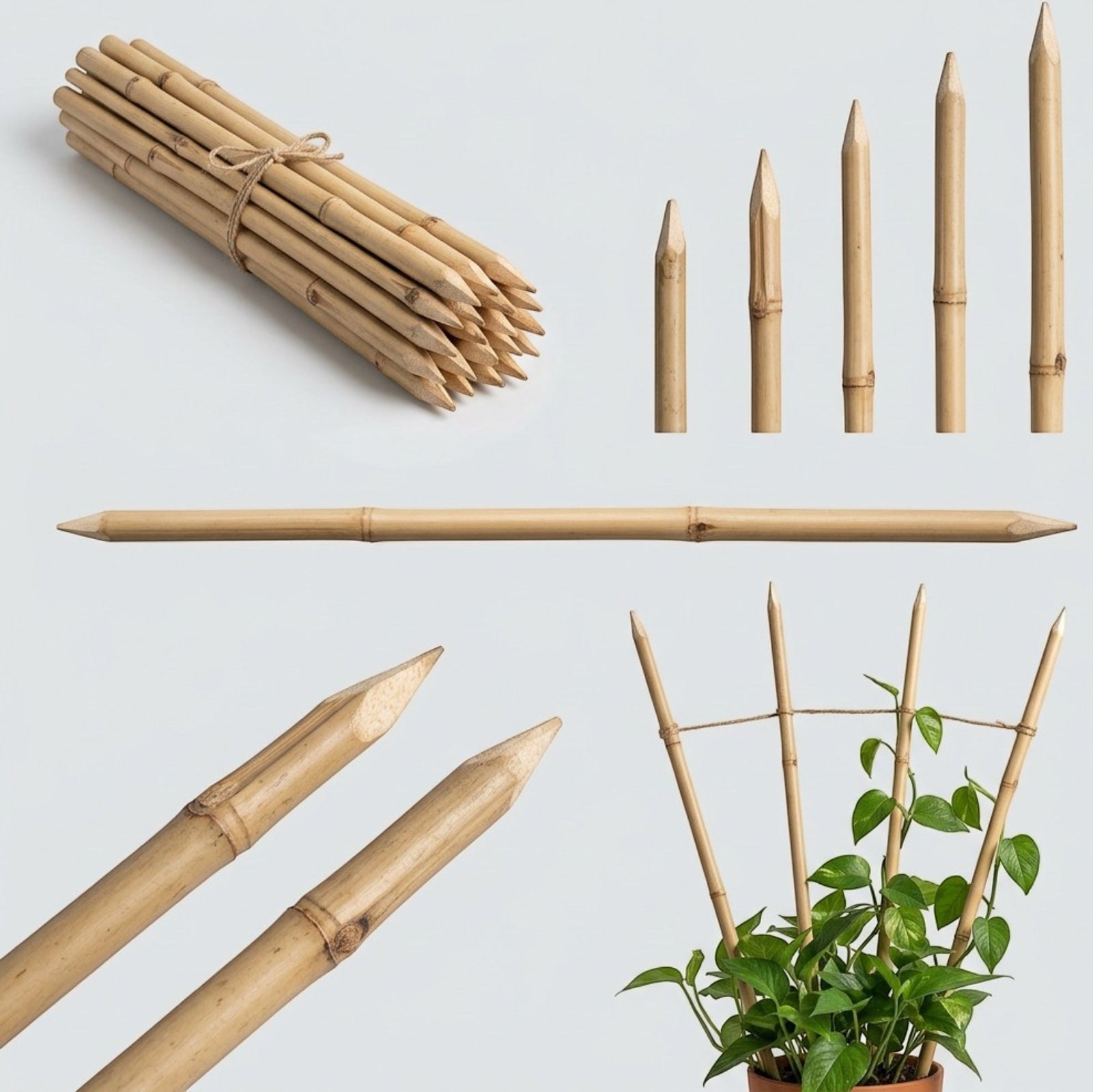 Oravox Bamboo Plant Trellis Stakes 18 in 6-Pack Natural