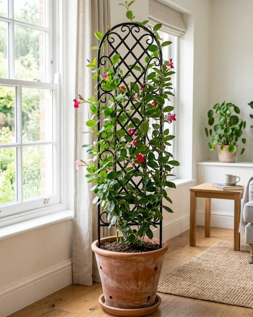 Oravox Metal Arch Plant Trellis 24 in Black